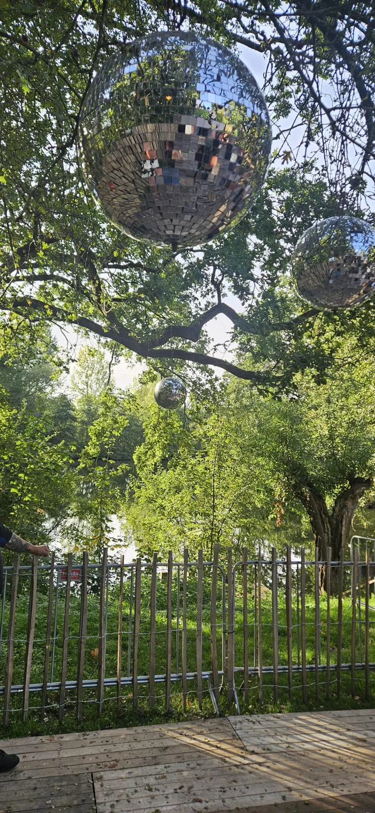 Grote spiegelballen die in een boom hangen, met een houten hek en groen op de achtergrond